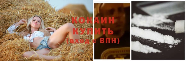 первитин Горняк