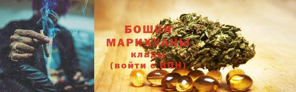 тгк Горнозаводск