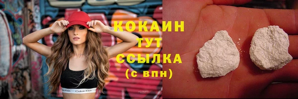 тгк Горнозаводск