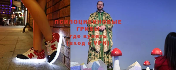 первитин Горняк