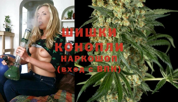 тгк Горнозаводск