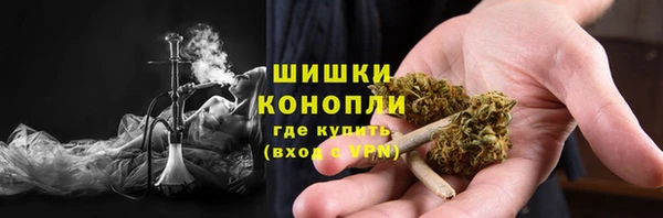 тгк Горнозаводск