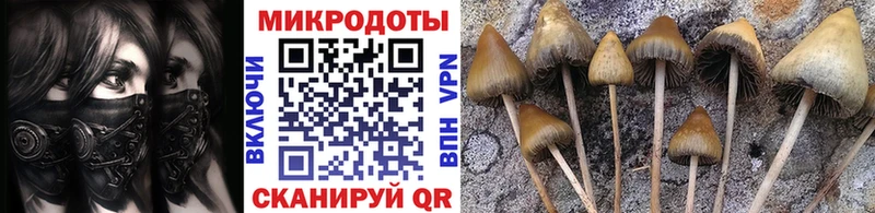 Купить где  Красноармейск  Галлюциногенные грибы Magic Shrooms 